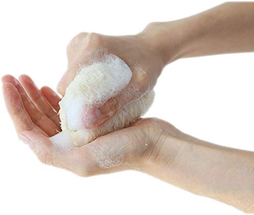 VOARGE 6 esponjas de lufa natural de alta calidad para spa, exfoliante para el cuerpo, elimina la piel muerta y la cocina, para el hogar (aproximadamente 4 pulgadas)