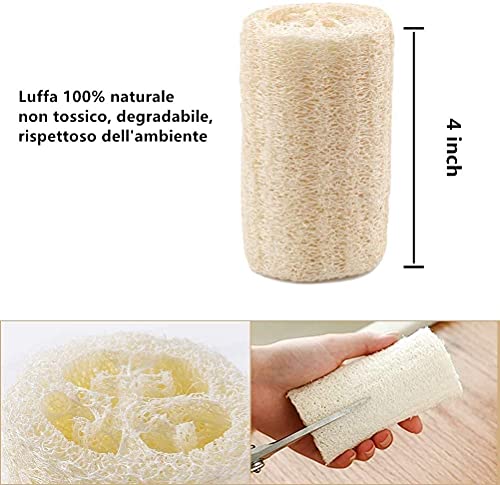 VOARGE 6 esponjas de lufa natural de alta calidad para spa, exfoliante para el cuerpo, elimina la piel muerta y la cocina, para el hogar (aproximadamente 4 pulgadas)