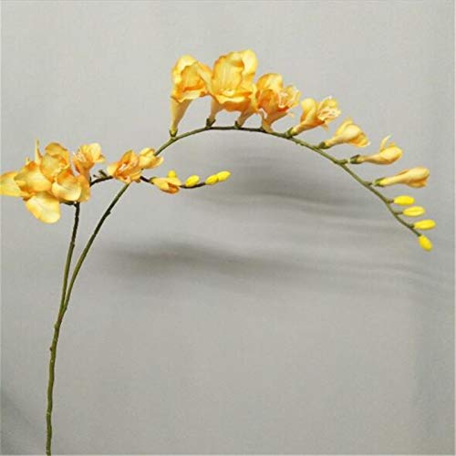 WANGJBH Flores Artificiales 7 unids Artificial Fresia Flor Seda Orquídea Seda Cattleya Azul/Blanco/Amarillo Colores Cymbidium Orchid Flowers Dried Flower (Color : Light Blue)