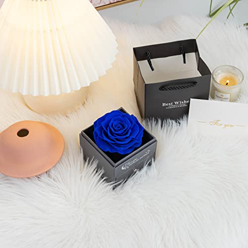 Yamonic Rosa Eterna Real con Collar y Pendientes en una Caja de Regalo, Regalos románticos para Ella en el día de San Valentín Aniversario Navidad Regalos para Mujeres, Azul