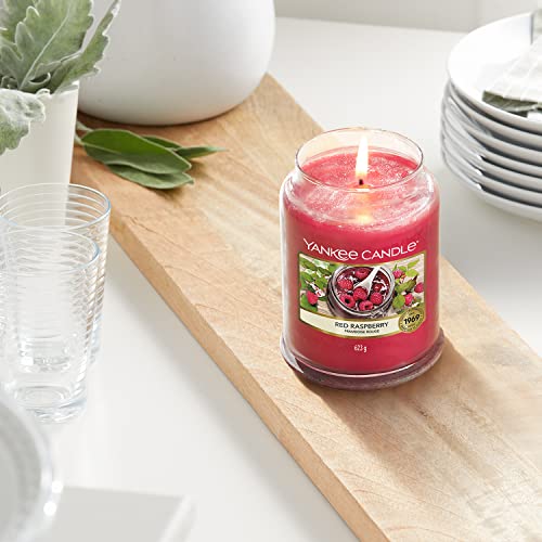 Yankee Candle Vela, Rojo, Grande, 623