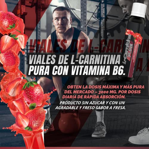 3000mg de L-Carnitina con Vitamina B6 | Quemagrasas natural | Mejora el rendimiento deportivo y la fuerza | Acelera la recuperación muscular | Aporta energía y vitalidad | 20 viales con sabor a fresa