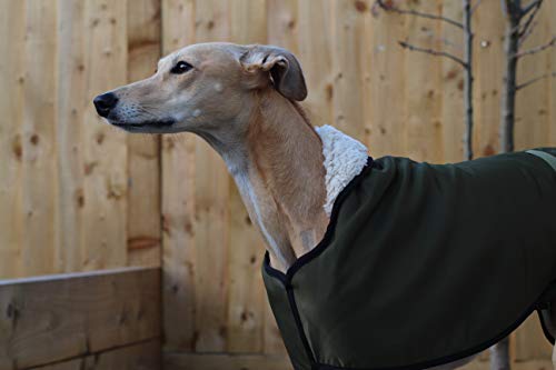 Abrigo impermeable con forro polar verde oliva, con correa ajustable a juego, galgo, galgo italiano, sighthound (XXLARGE 78,7 cm)