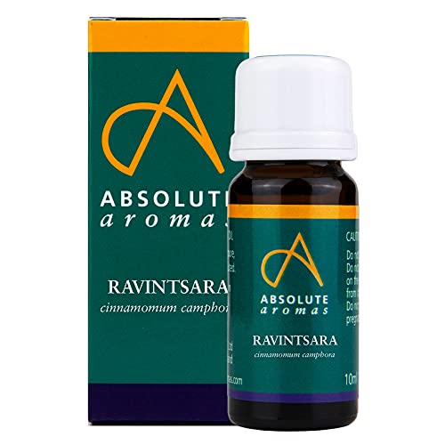 Absolute Aromas Aceite Esencial de Ravintsara (cinnamomum camphora) 10ml