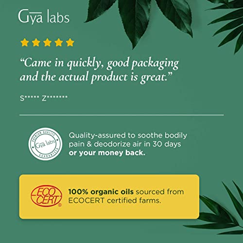 Aceite esencial de pino orgánico de Gya Labs para aliviar el dolor y concentrarse, relajar y limpiar el ambientador - 100% puro grado terapéutico natural para aromaterapia - 10 ml