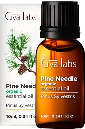 Aceite esencial de pino orgánico de Gya Labs para aliviar el dolor y concentrarse, relajar y limpiar el ambientador - 100% puro grado terapéutico natural para aromaterapia - 10 ml