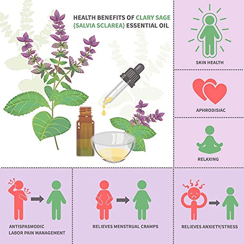 Aceite esencial puro de Salvia sclarea con el certificado ecológico COSMOS, grado terapéutico para aromaterapia, con libro electrónico de regalo, 10 ml