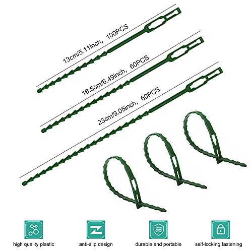 AFASOES 220 Pcs Bridas para Plantas Bridas Verdes Exterior Jardineria Bridas Verdes Largas 13cm/17cm/23cm Bridas para Atar Tomates Bridas de Plástico para Sujetar Plantas Tomateras Trepadoras