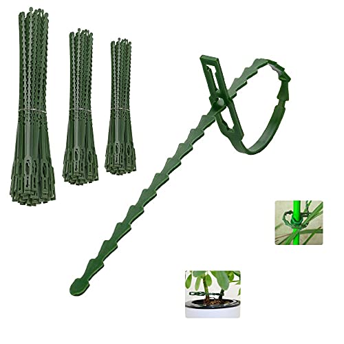 AFASOES 220 Pcs Bridas para Plantas Bridas Verdes Exterior Jardineria Bridas Verdes Largas 13cm/17cm/23cm Bridas para Atar Tomates Bridas de Plástico para Sujetar Plantas Tomateras Trepadoras