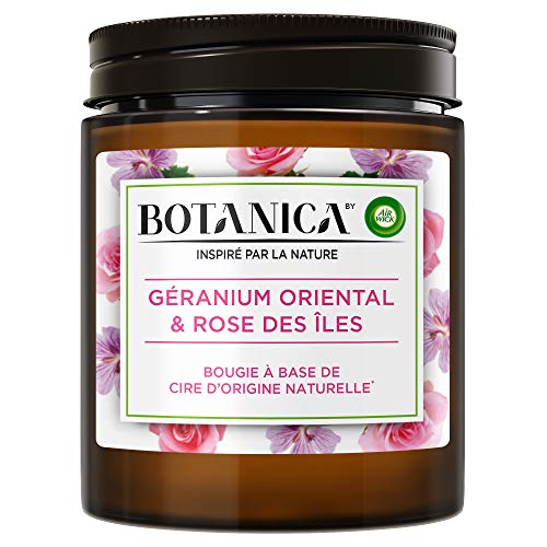 Air Wick Botanica Bougie Parfumée Cire d'Origine Naturelle Géranium & Rose 205g