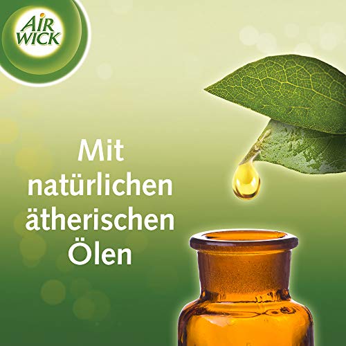 Air Wick Pack ahorro de aceites aromáticos – Juego de 3 recambios – Ambientador floral con aceites esenciales – Fragancia: seda y lirios – Juego de 3 aceites aromáticos de 19 ml