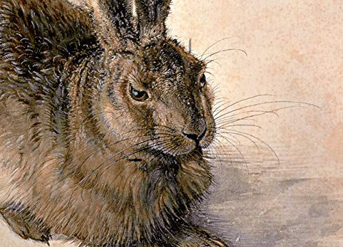 Albrecht Dürer: Werkverzeichnis (Sonderausgabe)