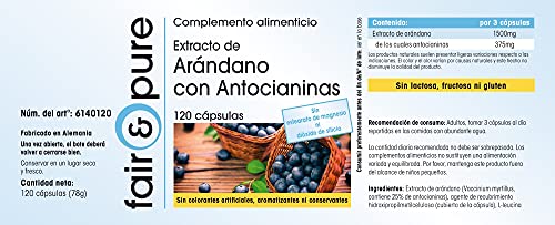 Arándano Azul con Antocianos - Extracto de Arándano Azul vegano - Polvo en Cápsulas - Alta pureza - 120 Cápsulas