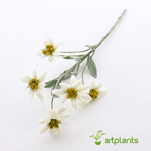 artplants.de Edelweiß de los Alpes Artificial Sophia con 5 Flores, Blanco, 40cm - Flor sintética - Planta Decorativa