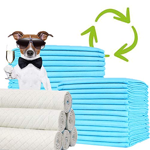 BPS® Empapadores de Entrenamiento para Perros Gatos Perfumes con Feromonas para Atraer los Cachorros y Simplificar el Entrenamiento (60pcs 60 * 60cm) BPS-2168 * 2