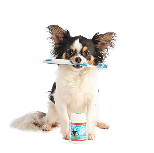Bubimex - Destructor de Placa dentífrica para Perro