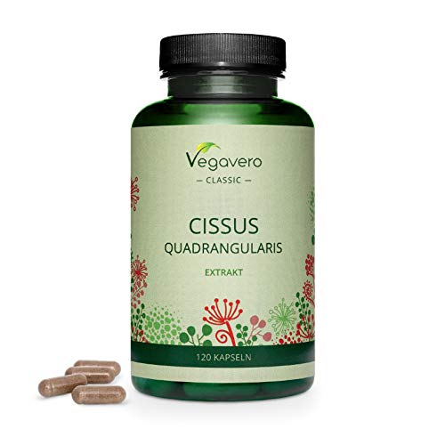 Cissus Vegavero® | Con la Mayor Concentración de Ketosteronas: 40% | Sin Gelatina Animal | 120 Cápsulas | Anabolizantes Esteroides Naturales + Articulaciones y Huesos | Ayurveda