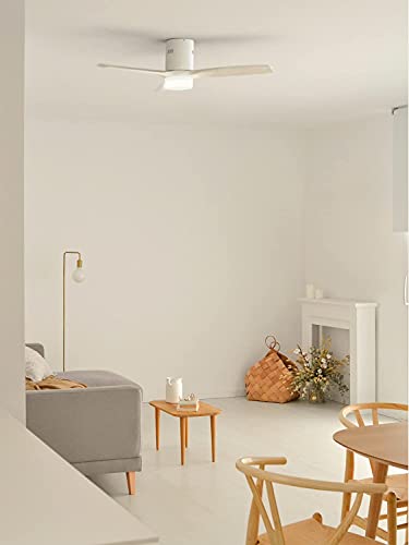 CREATE / WINDCALM DC / Ventilador techo con luz motor DC blanco / Silencioso, luz regulable, temporizador