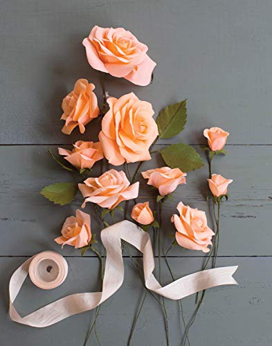 Crepe Flower Kit Rose Rose, Papel, Colores Variados, 32 cm