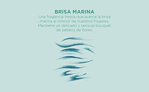 CRISTALINAS Pack de 3 Ambientadores de Coche – Absorbe los malos olores de tu vehículo con un agradable Aroma a Brisa Marina