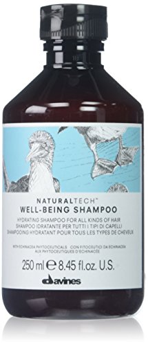 Davines Naturaltech Shampoing Well-Being 250ml