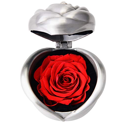 Dewanxin Rosa Eterna Natural,Flores Preservadas,Rosa Preservada,Flores Naturales,Caja Regalo,Regalos Originales para Mujer Madre Pareja Cumpleanos Aniversario(Rojo)