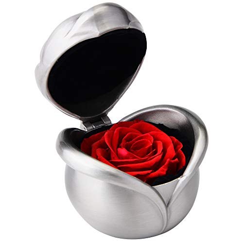 Dewanxin Rosa Eterna Natural,Flores Preservadas,Rosa Preservada,Flores Naturales,Caja Regalo,Regalos Originales para Mujer Madre Pareja Cumpleanos Aniversario(Rojo)