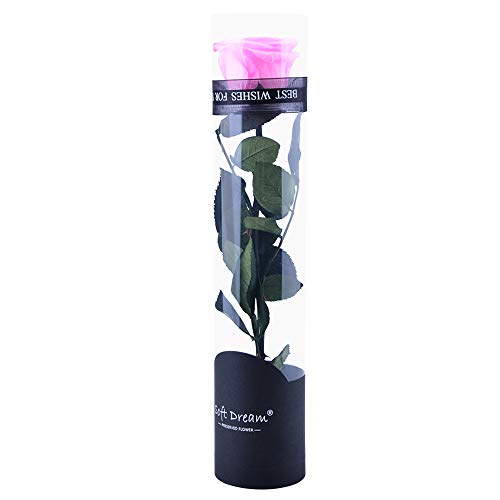 Dewanxin Rosa Eterna,Rosa Natural Preservada,para Decoración del Hogar Boda San Valentín Día de la Madre Navidad Aniversario Cumpleaños - Roja (Pink)