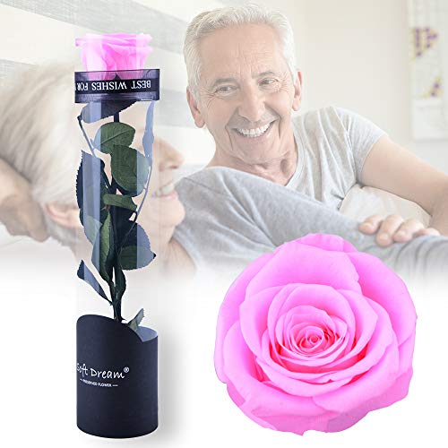 Dewanxin Rosa Eterna,Rosa Natural Preservada,para Decoración del Hogar Boda San Valentín Día de la Madre Navidad Aniversario Cumpleaños - Roja (Pink)