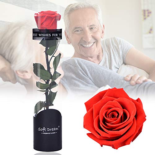 Dewanxin Rosa Eterna,Rosa Natural Preservada,para Decoración del Hogar Boda San Valentín Día de la Madre Navidad Aniversario Cumpleaños - Roja (Red)