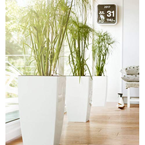 Emsa Plantador de Flores, Sistema de riego automático, 30x58cm, Blanco, CASA Brilliant, 517584