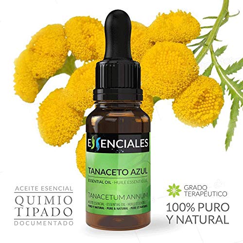 Essenciales - Aceite Esencial de Tanaceto Azul/Blue Tansy, 100% Puro, 5 ml | Aceite Esencial Tanacetum Annuum