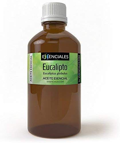 Essenciales - Aceite Esencial Eucalipto, 100% Puro, 100 ml | Aceite Esencial Eucaliptus Globulus