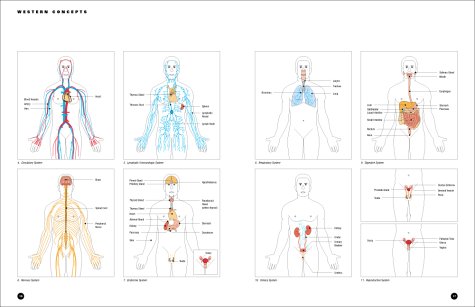 Essential Anatomy: For Healing and Martial Arts