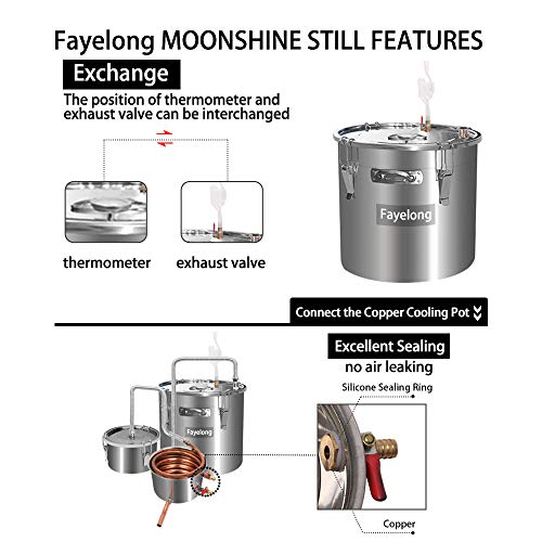 FayeLong - Kit completo para destilación casera: alambique, destilador con serpentín y termómetro, de acero inoxidable, para la destilación de agua, alcohol, vino y aceites esenciales