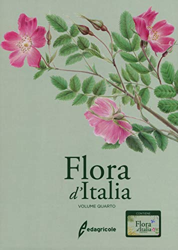 Flora d'Italia. Con USB Flash Drive (Vol. 4)