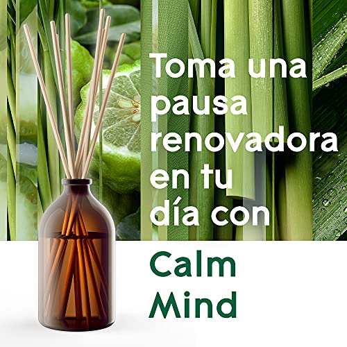 Glade Aromatherapy Varillas fragancia Calm Mind [Bergamot & Lemongrass], Líquido con Aceites Esenciales, 16 varillas de ratán, más de 90 días de duración. Pack de 2