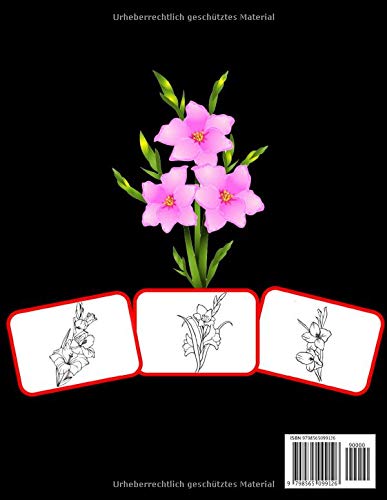 Gladiole Malbuch: Malen und mit Spaß lernen. Gladiolenbilder, Mal- und Lernbuch mit Spaß für Kinder (60 Seiten, mindestens 30 Gladiolenblumenbilder)
