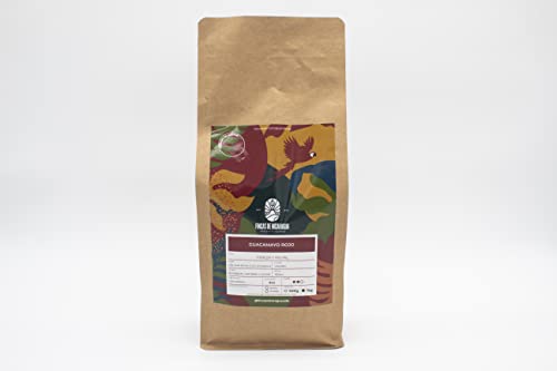 Guacamayo Rojo Cafe en grano 100% Natural - 1000gr café de especialidad Origen Nicaragua Tuesta Natural perfecto para cafetera de filtro Fincas de Nicaragua Specialty Coffee