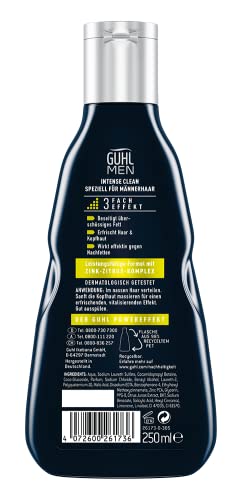 Guhl Men Intense Clean Champú – Limpia, revitaliza y refresca – Especial para cabellos de hombre, 250 ml