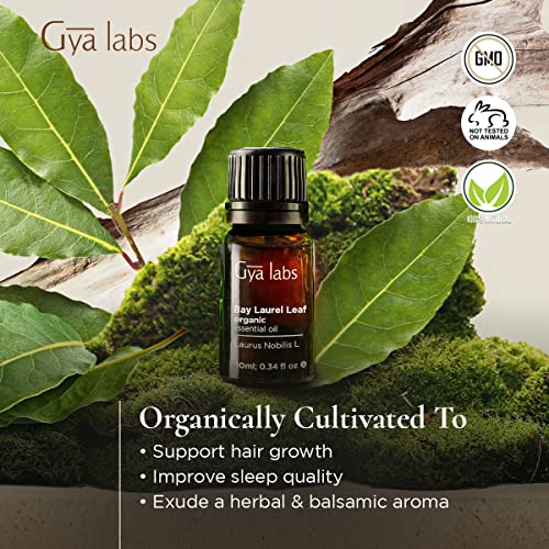 Gya Labs Aceite esencial orgánico de hoja de laurel de para el crecimiento del cabello, alivio del sueño, dolor muscular y cabello fino, 100 aceite puro de grado terapéutico para aromaterapia, 10 ml