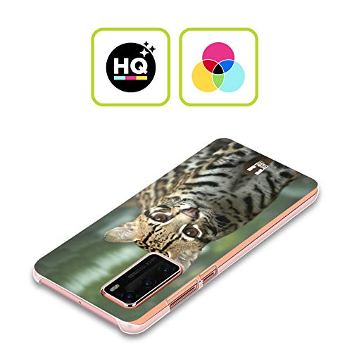 Head Case Designs Primer Plano De Un Ocelote Animales Famosos Carcasa rígida Compatible con Huawei Nova 5