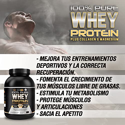 Healthy Fusion Whey Protein, Proteina whey pura con colágeno + magnesio, Mejora tus entrenamientos, Protege y aumenta la masa muscular, 1000g de proteína (Galletas)