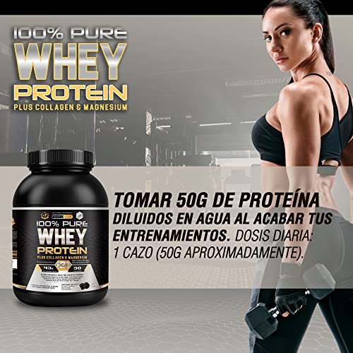 Healthy Fusion Whey Protein, Proteina whey pura con colágeno + magnesio, Mejora tus entrenamientos, Protege y aumenta la masa muscular, 1000g de proteína (Galletas)