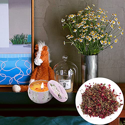 Hierbas y Flores Secas Kit de 12 Tipos de Flores Secas Naturales Jazmín Lavanda Nomeolvides Rosa Crisantemo Limoncillo Menta para Hacer Velas de jabón DIY Hacer Joyas de Resina Aroma Bombas de baño