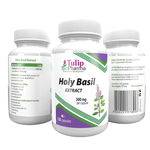 HOLY BASIL (ALBAHACA SANTA) Equivalente de 5000mg (500mg de extracto 10:1) 120 cápsulas, Alta potencia, sin gluten, sin OGM