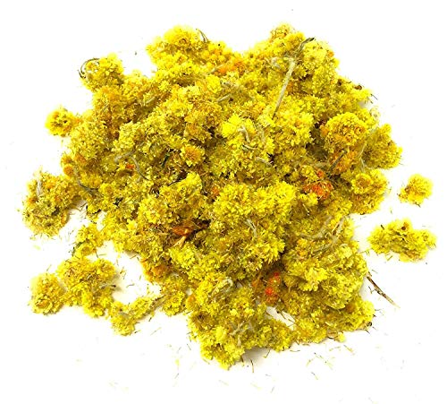 Immortelle Comestible / Everlast Enano Dorado / Strawflower - Helichrysum Arenarium - Ideal Para Chispas Comestibles, Cocina, Hidrosol, Té, Pascua, Bodas O Manualidades