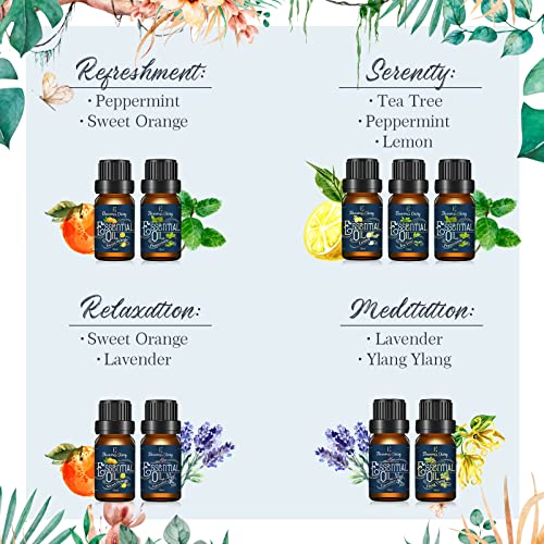 Juego de Aceites Esenciales, Eleanore's Diary Aceites de Aromaterapia 6x10ml para Difuso de Aroma, Juego de Regalo de Aceites Esenciales 100% Puros, Lavanda, Limón, Naranja, Ylang Ylang, Árbol de Té