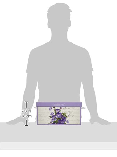 Kanguru Collection Small Violette Caja de Almacenamiento en cartòn Lavatelli, VIOLETAS con Tapa perfumada, facil Montaje, Resistente, 25x35x17,5cm, Pequeña