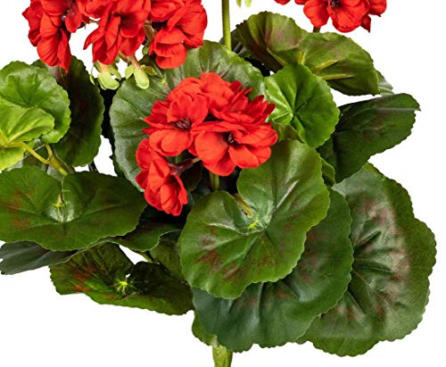 kunstpflanzen-discount.com Geranie - Flores Artificiales con 5 Flores Rojas de 32 cm de Alto y 30 Hojas - Planta Artificial Artificial, Flores de Seda o Flores de plástico